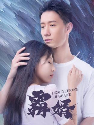 霸婿第19集