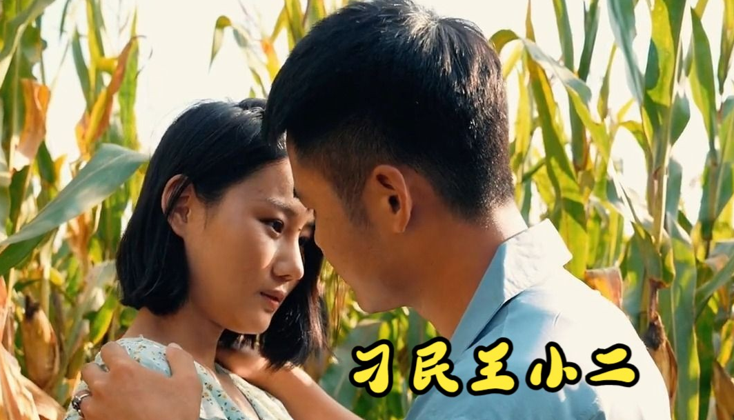 刁民王小二第19集
