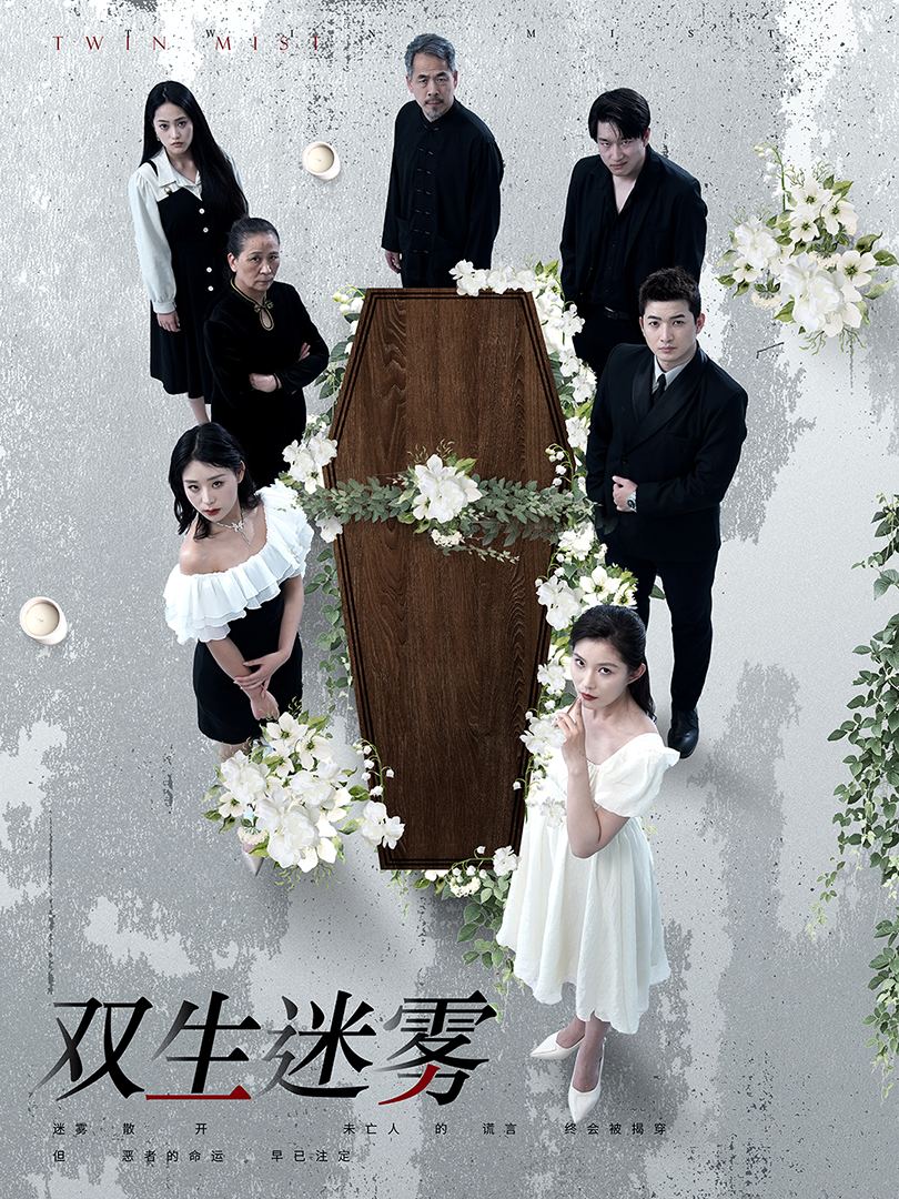 双生迷雾第78集