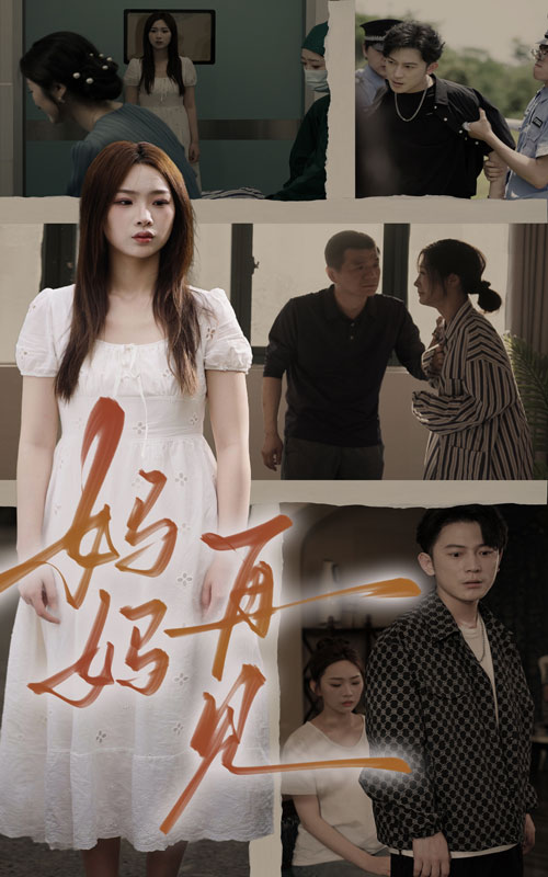 妈妈，再见第13集