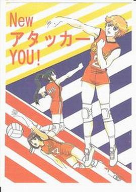 胜利女排第16集