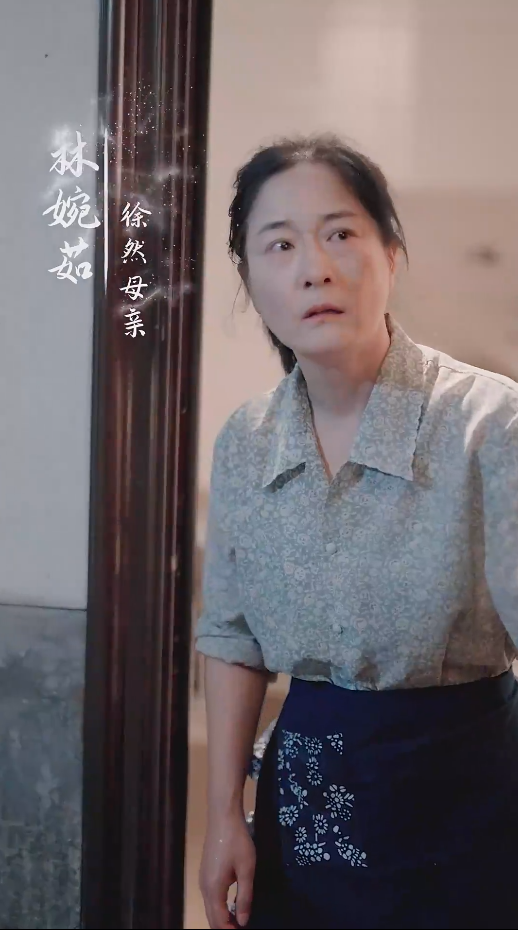 谁怜天下慈母心短剧第70集