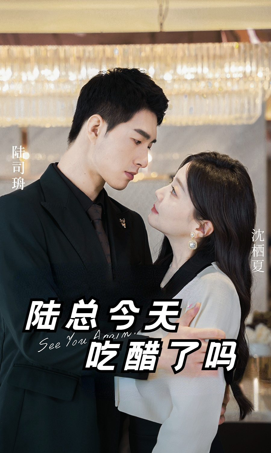 陆总今天吃醋了吗第19集