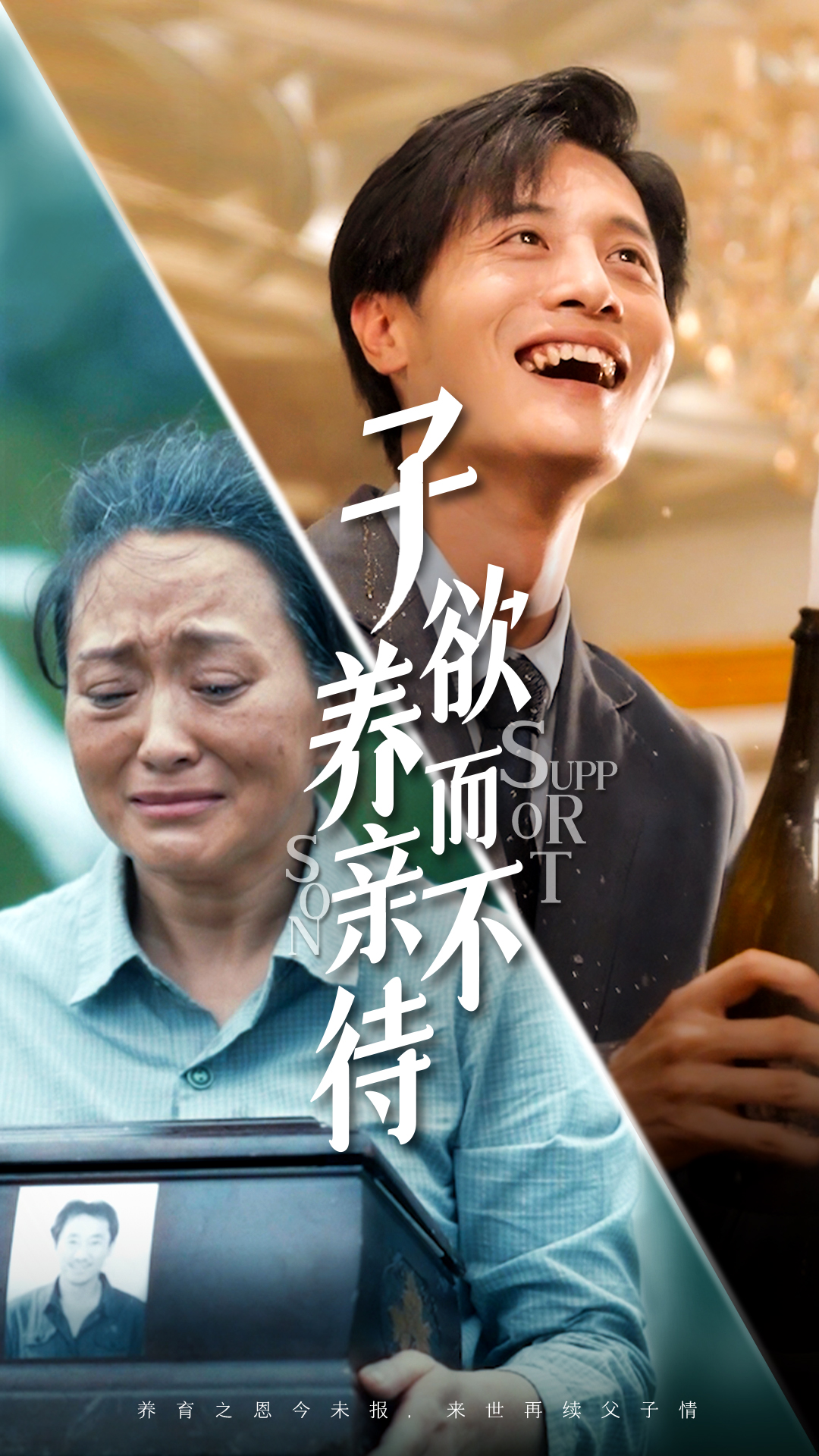 子欲养而亲不待第30集