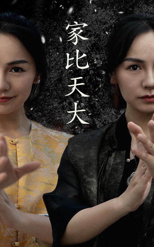 家比天大短剧第12集