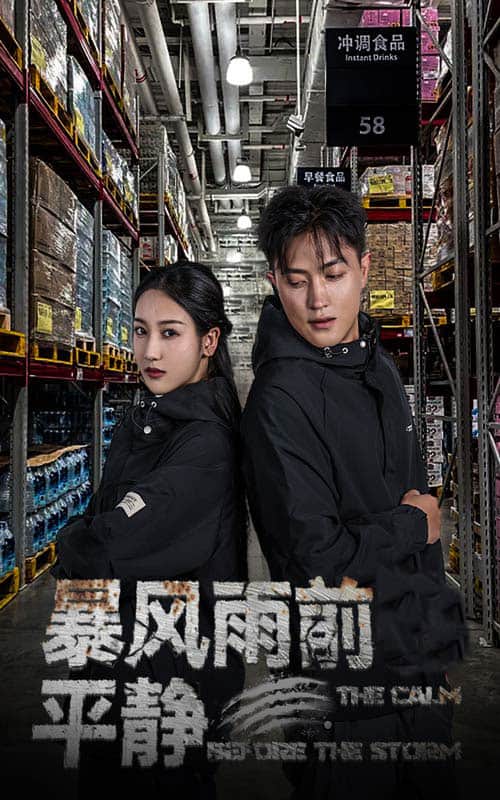 暴风雨前的平静第20集