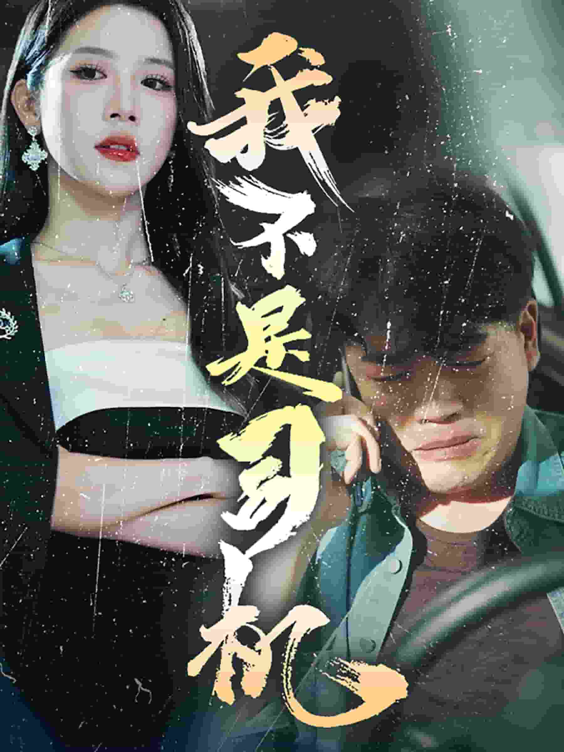 我不是司机第30集