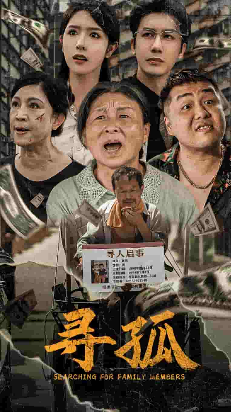 寻孤第21集