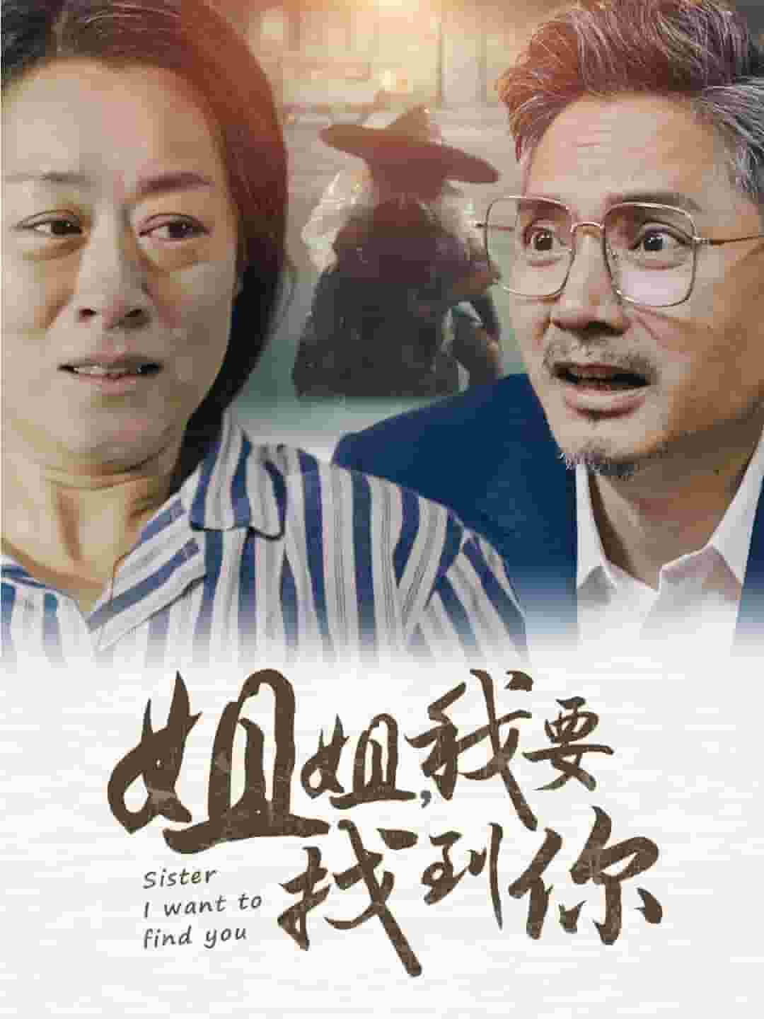 姐姐我要找到你第39集