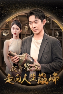 我靠鉴宝走向人生巅峰第17集