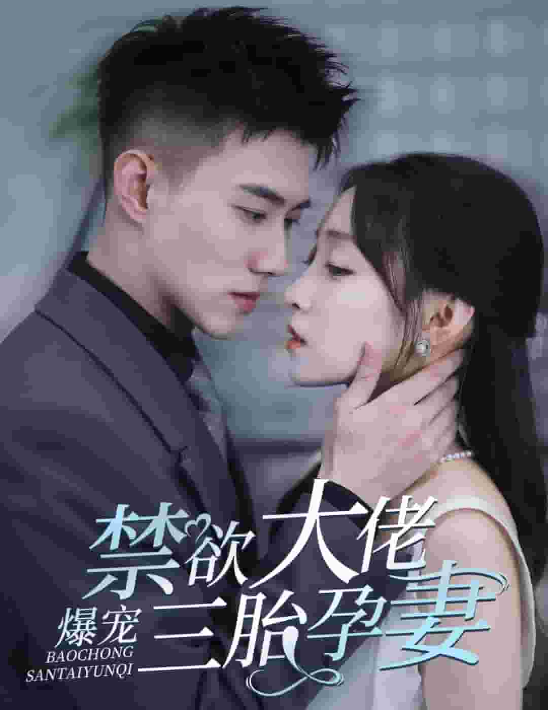 禁欲大佬爆宠三胎孕妻第26集
