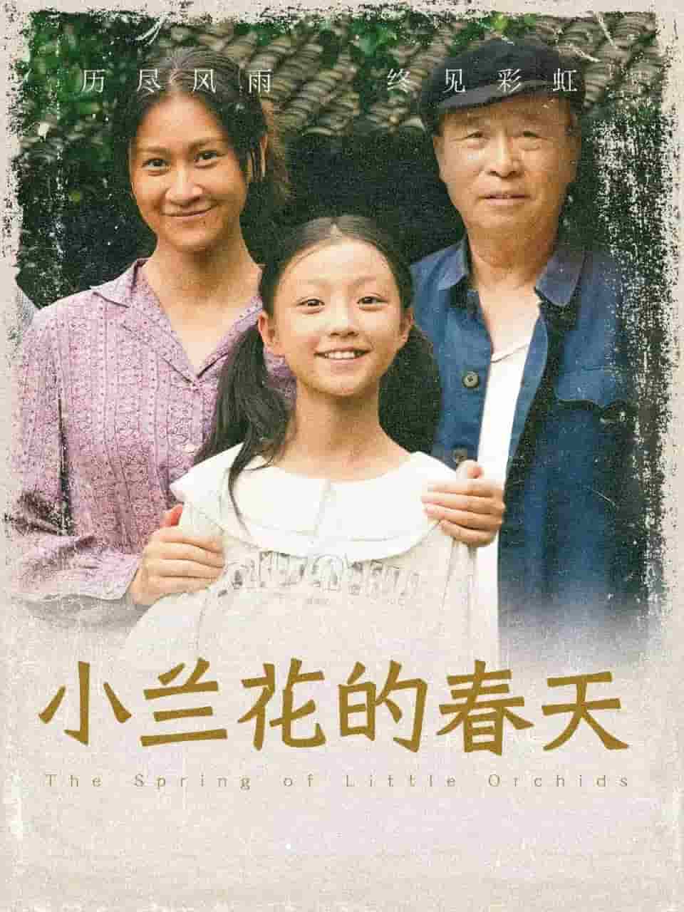小兰花的春天第39集