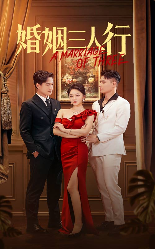 婚姻三人行第17集