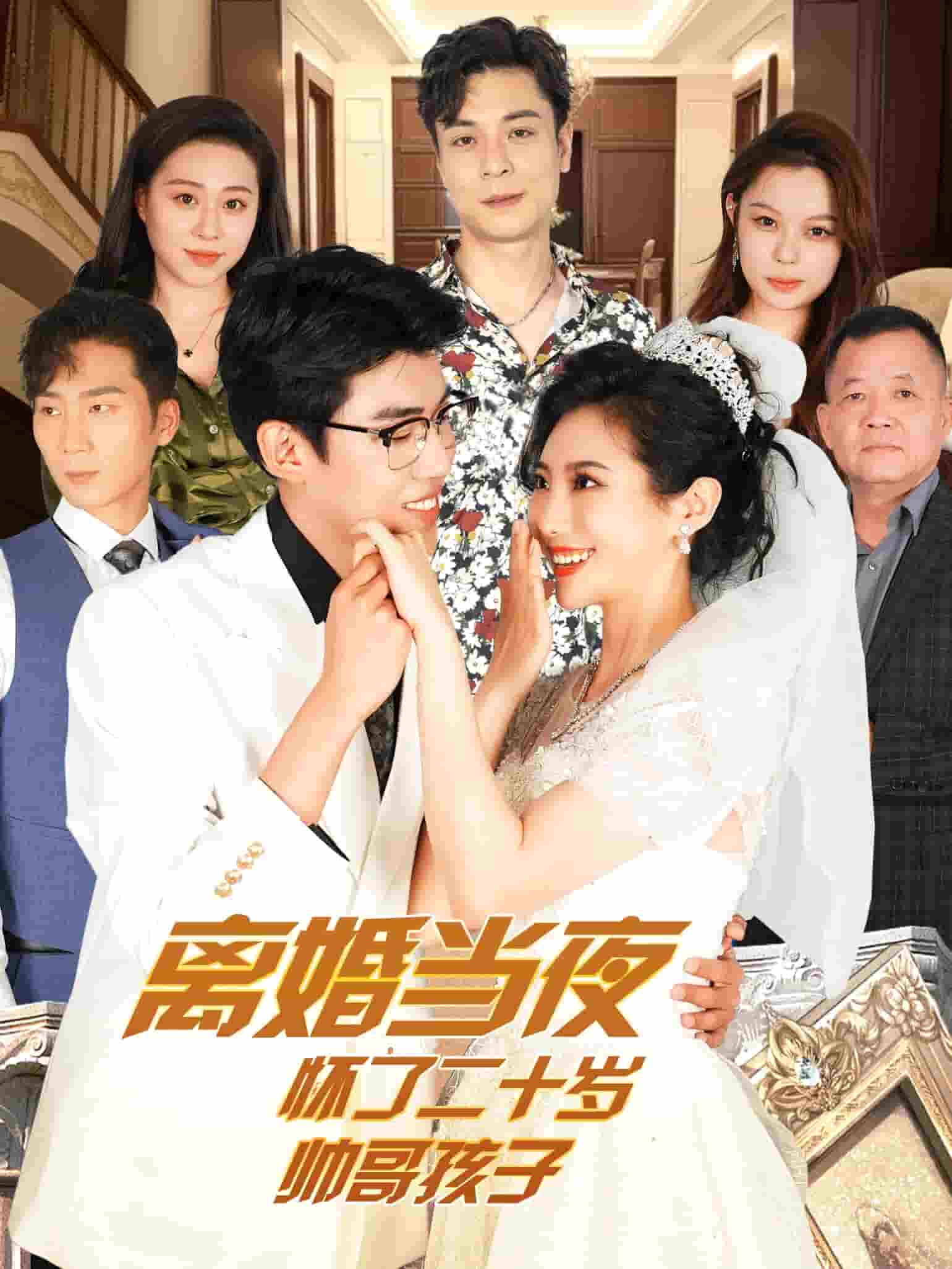 离婚当夜怀了二十岁帅哥第70集