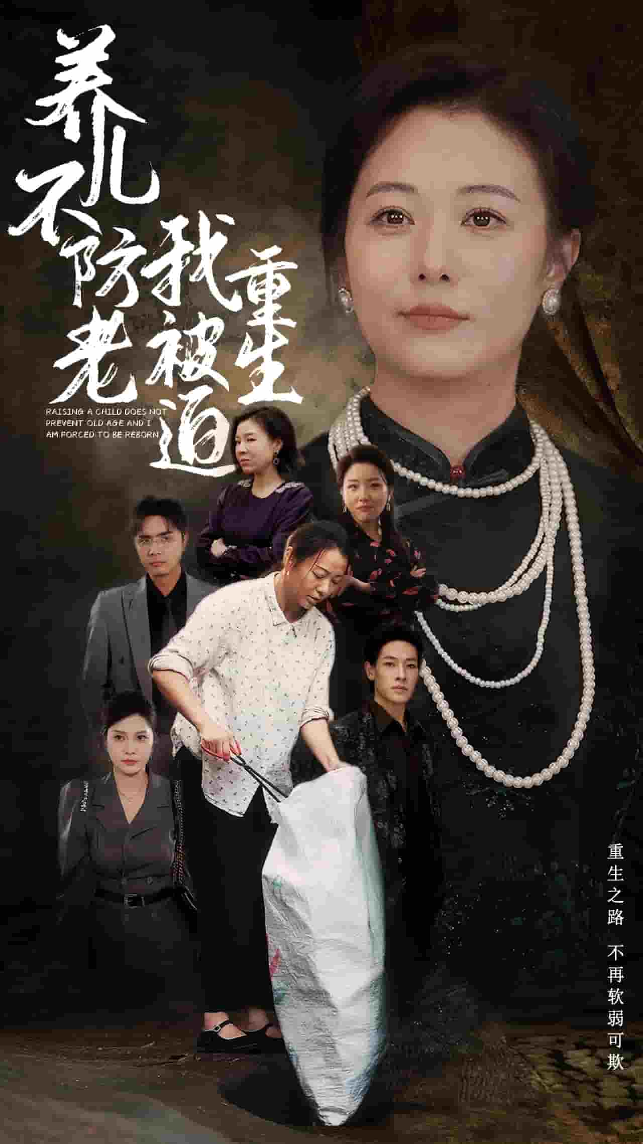 养儿不防老我被迫重生第74集