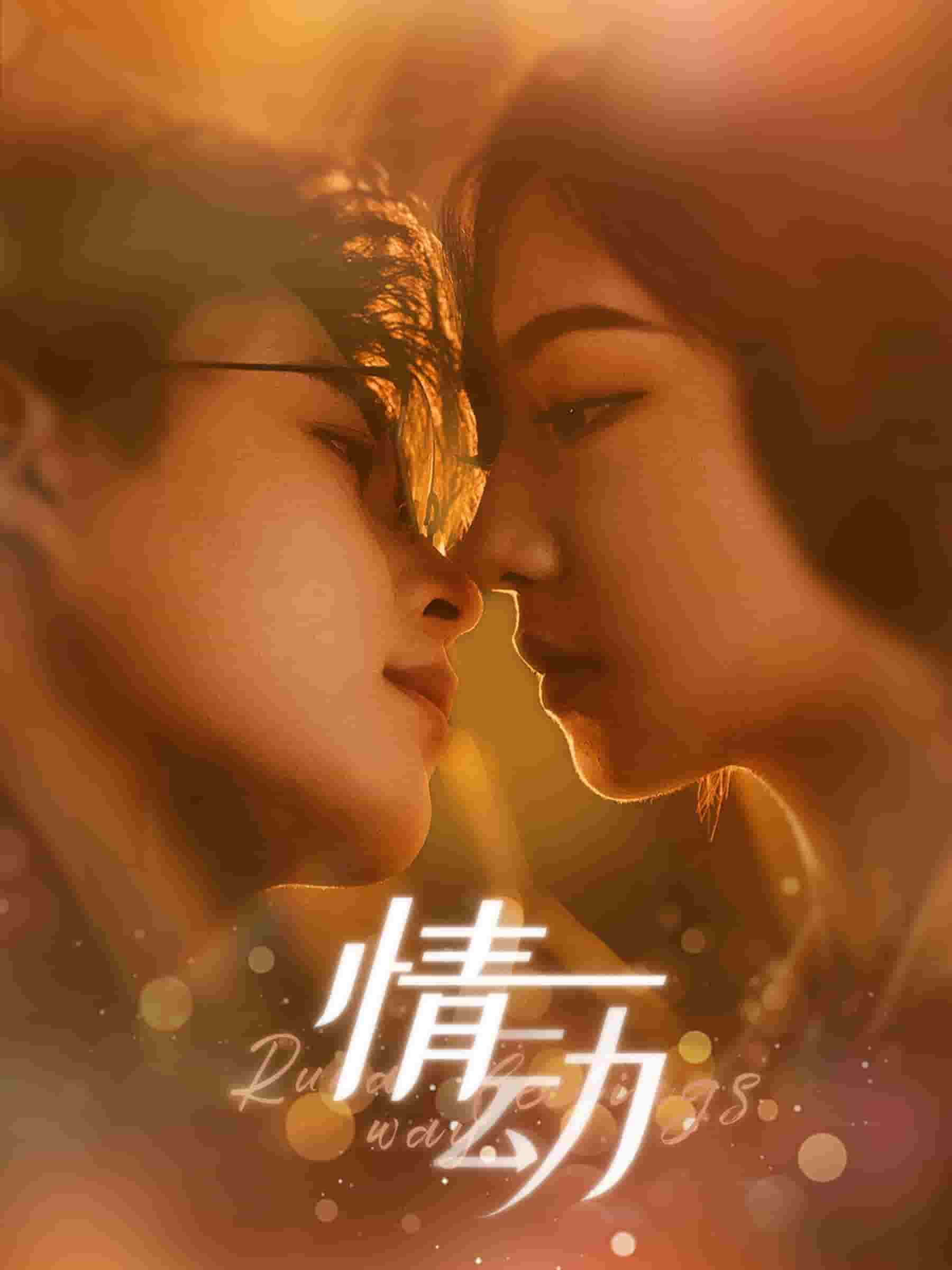 情动第54集