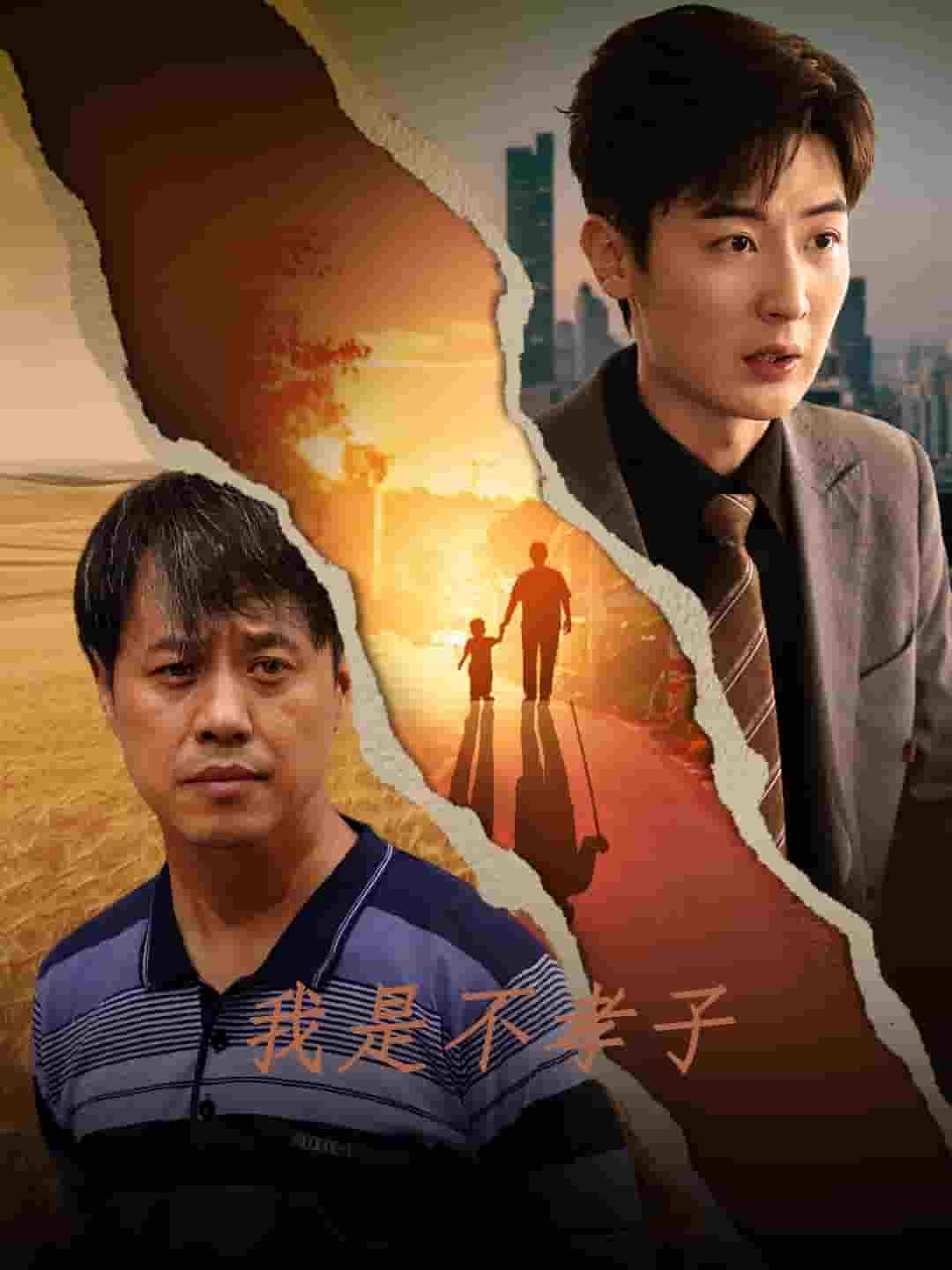 我是不孝子第25集