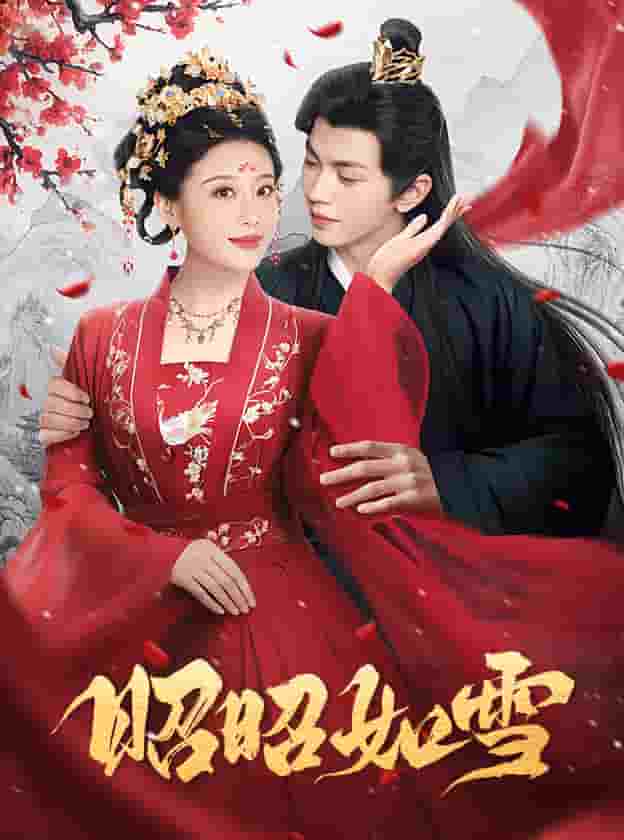 昭昭如雪第16集