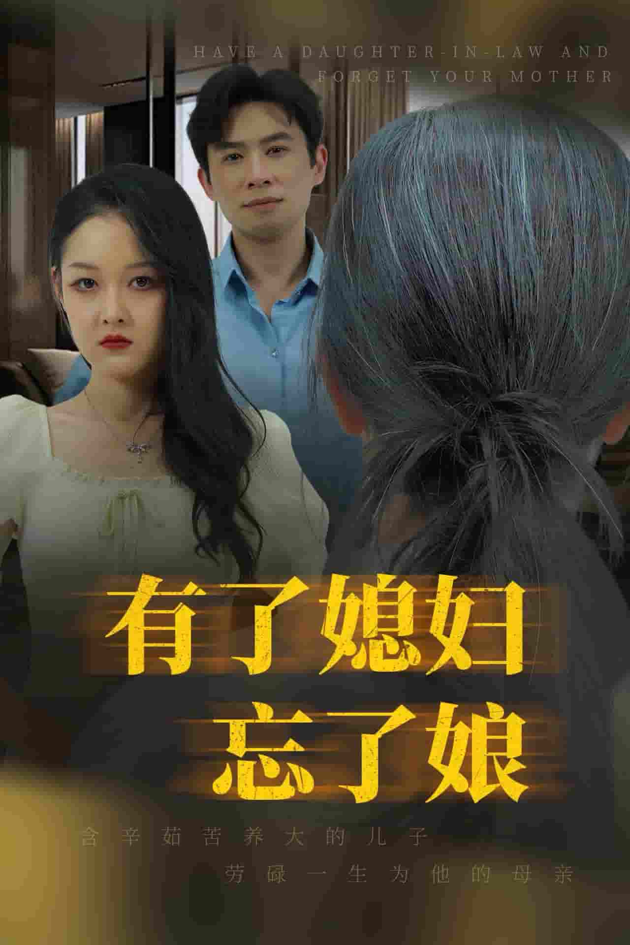 有了媳妇忘了娘第30集