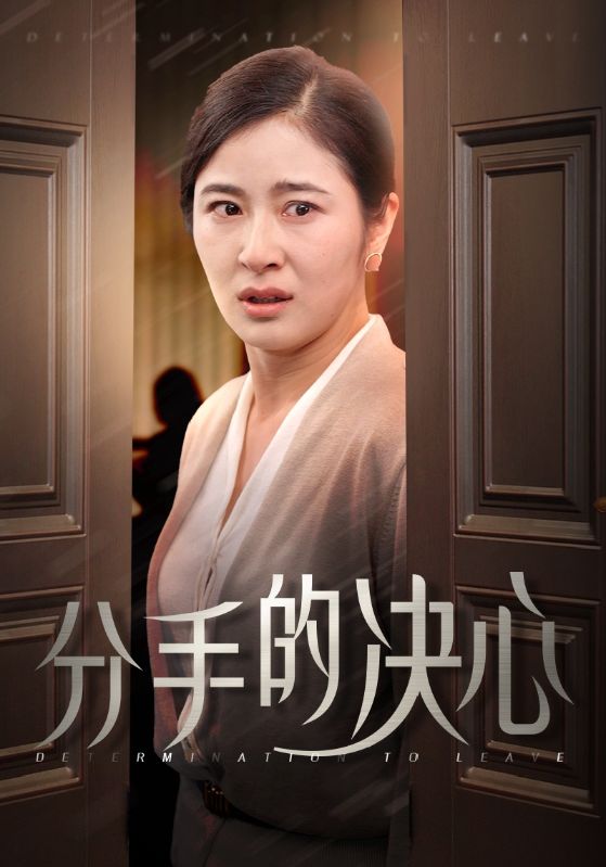 分手的决心 短剧版第17集