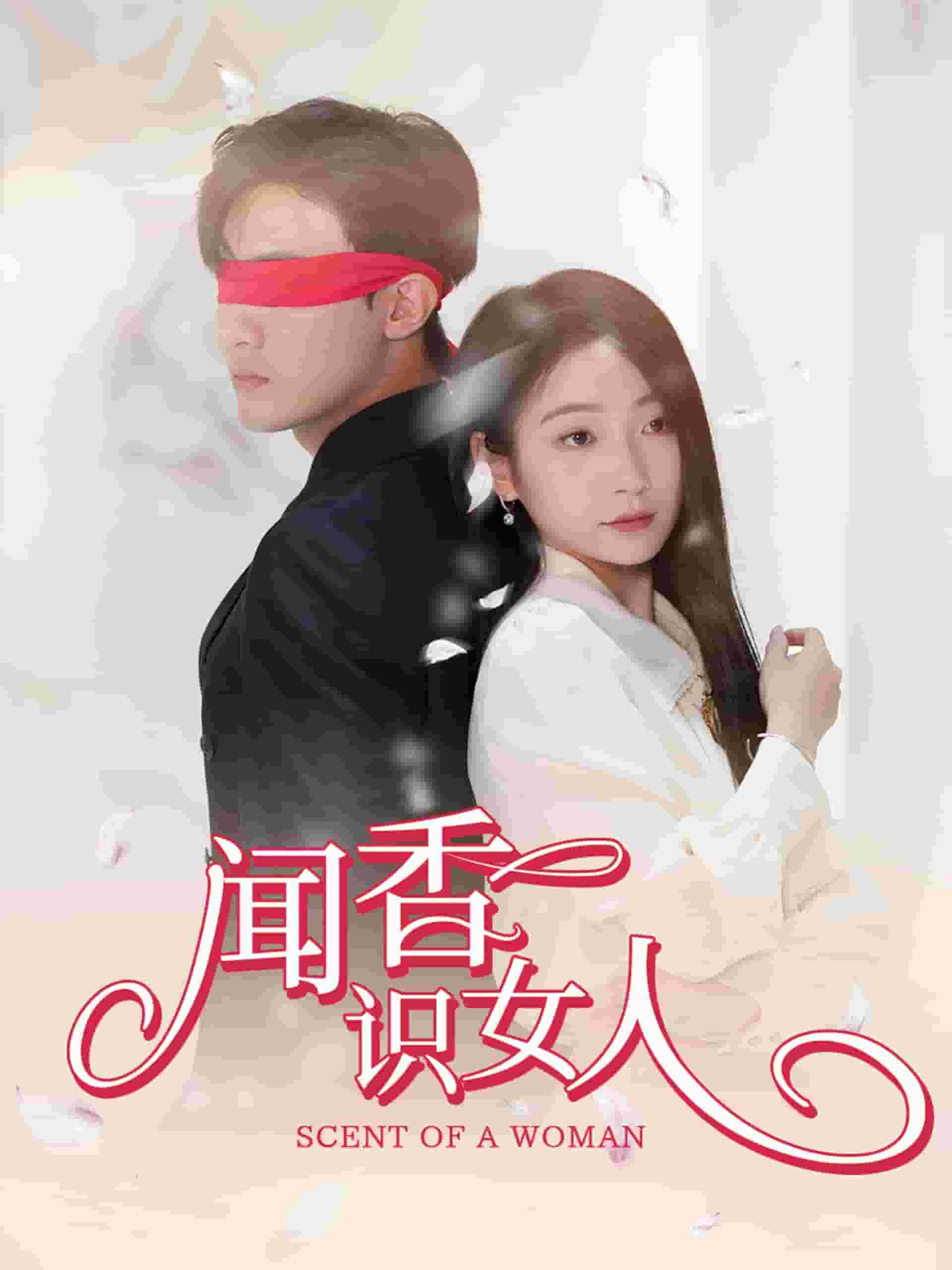 闻香识女人 短剧版第37集