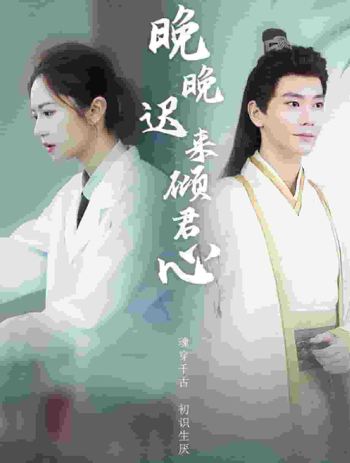 晚晚迟来倾君心第41集