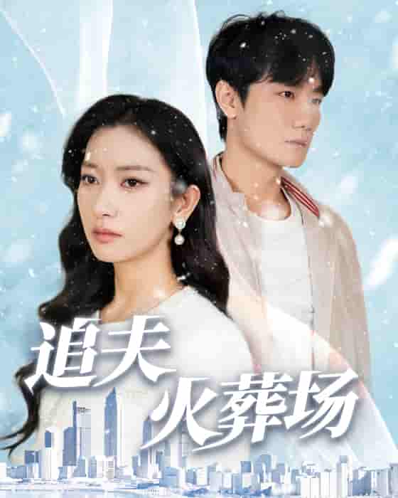 追夫火葬场第26集