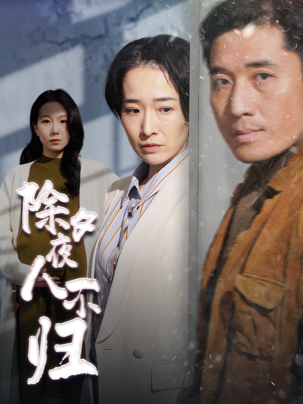除夕夜人不归第26集