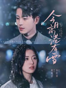今日离港有雪第39集