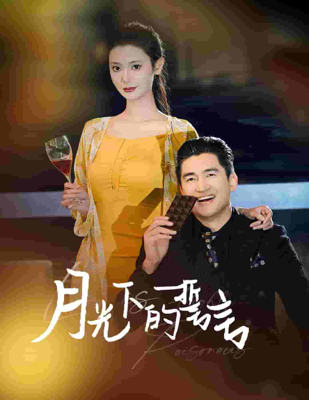月光下的誓言第17集