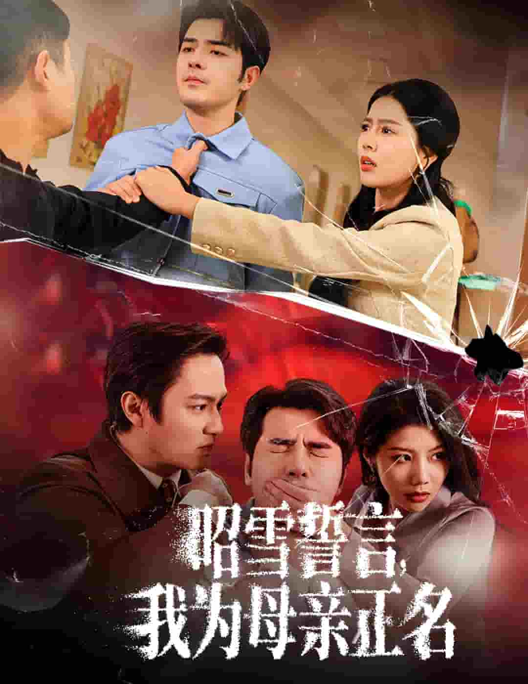 昭雪誓言我为母亲正名第42集