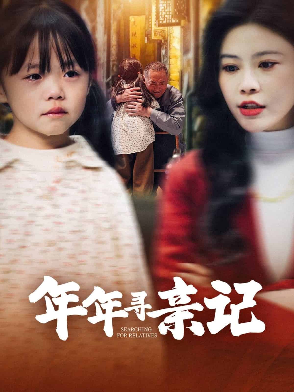 年年寻亲记第12集