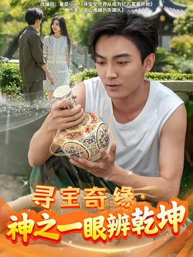 寻宝奇缘，神之一眼辨乾坤(全集)