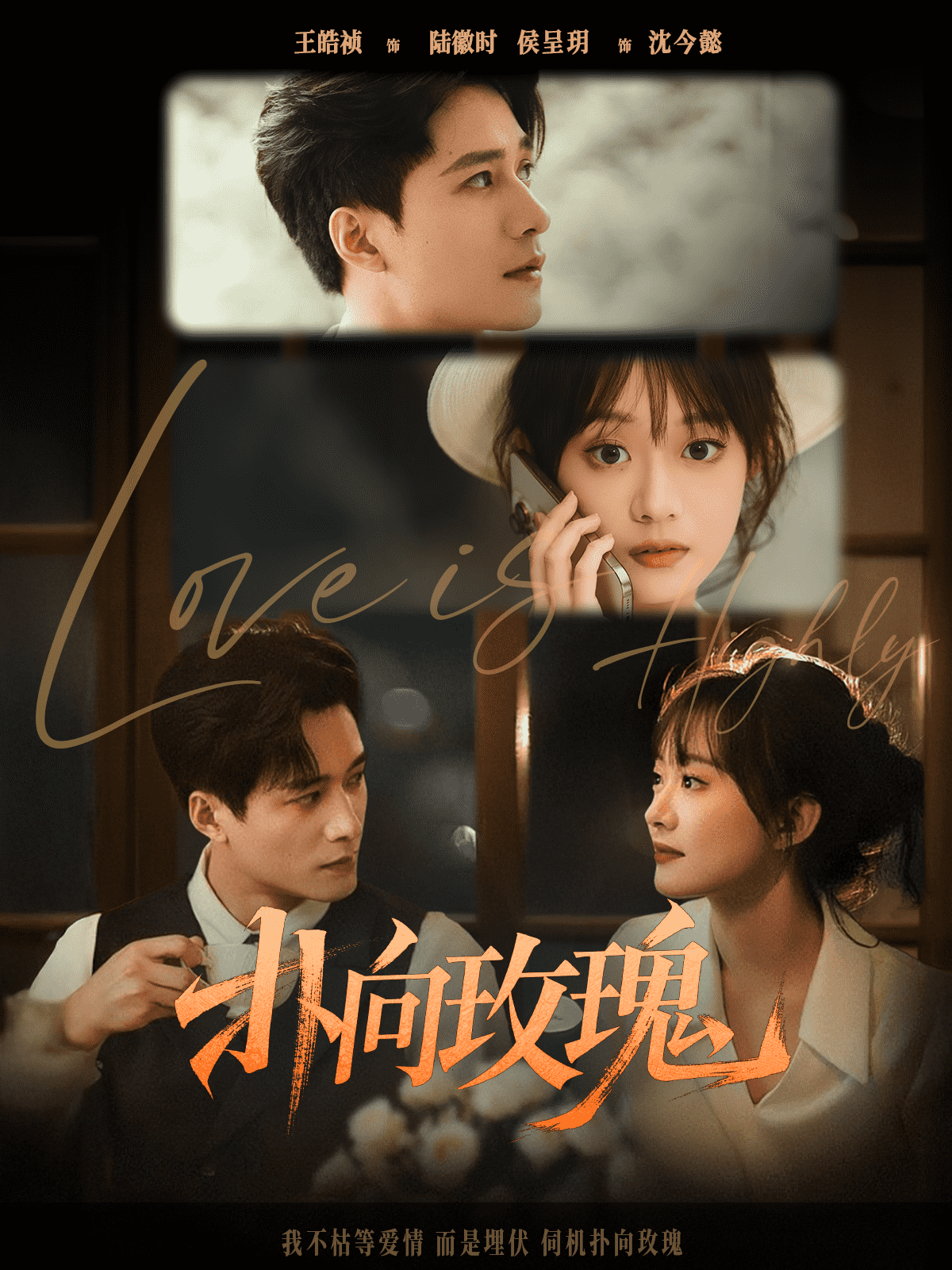 扑向玫瑰(全集)