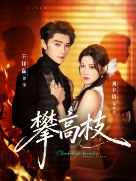 攀高枝(全集)